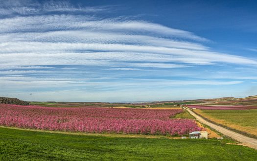 El rural español se está convirtiendo en uno de los focos incipientes de la inversión dadas las grandes oportunidades de emprender en el campo.