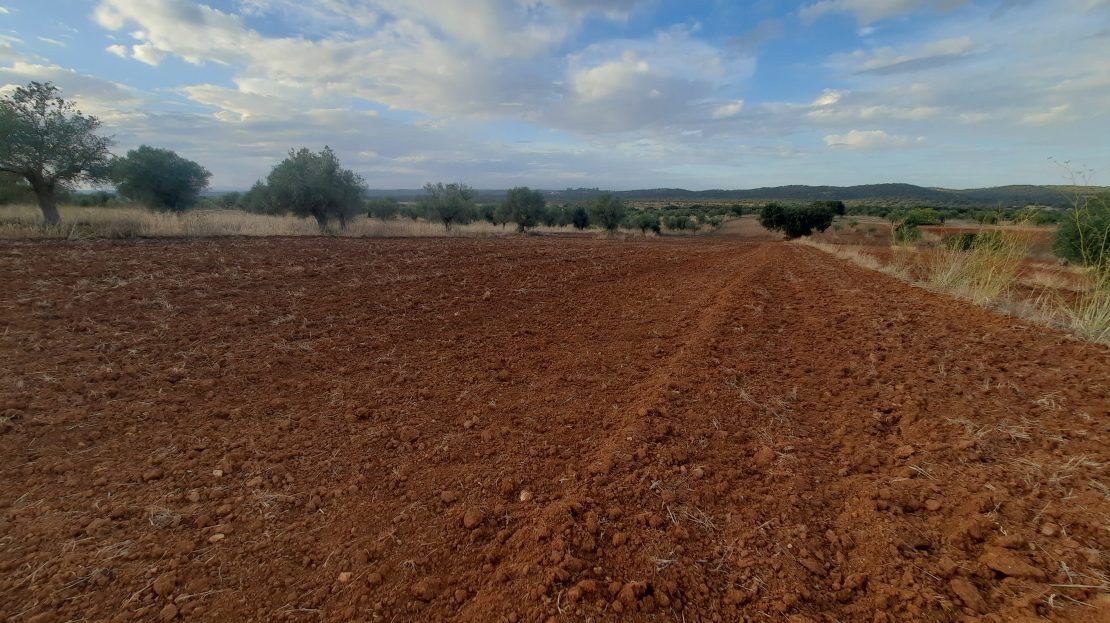 parcela en cheles