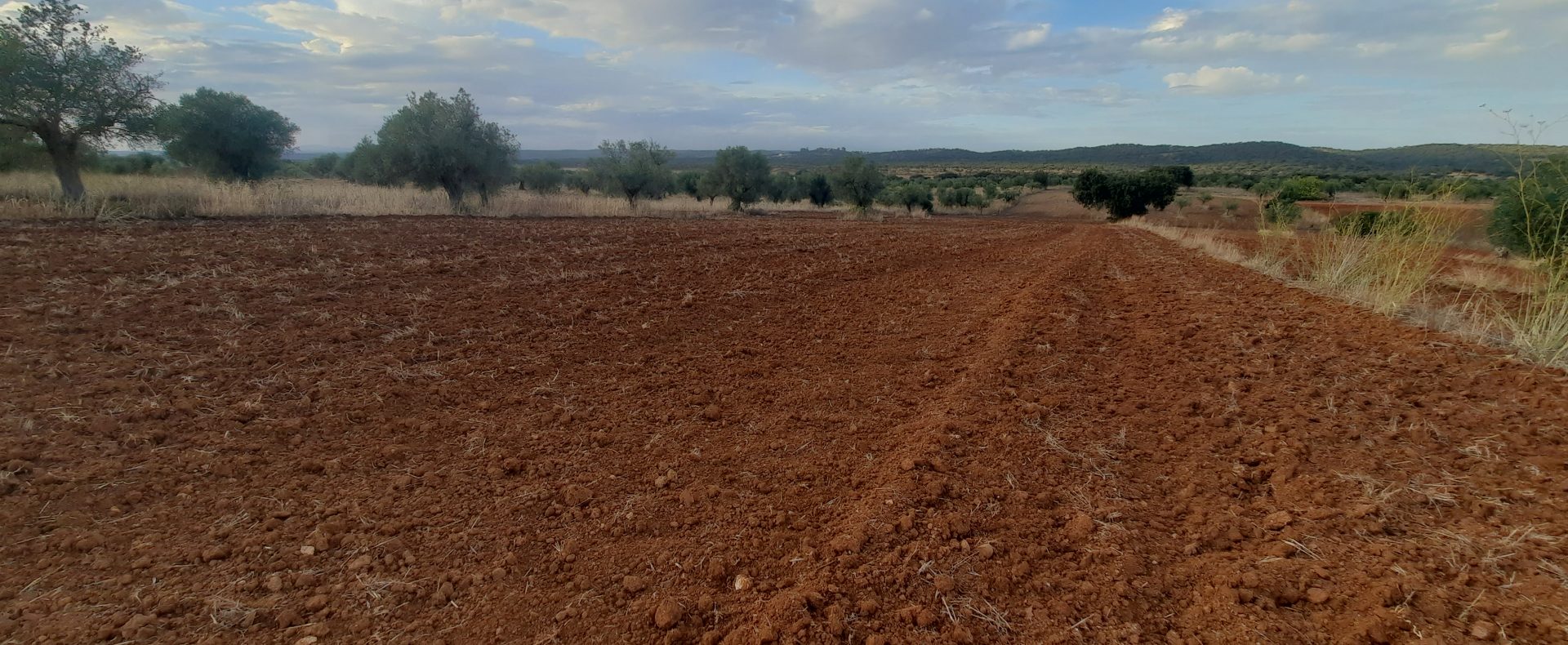 parcela en cheles