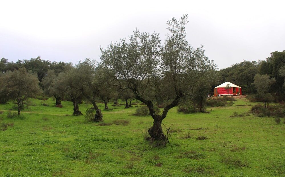 Finca Rústica con Proyecto de Ecoturismo en la Vega del Madroñal, Extremadura