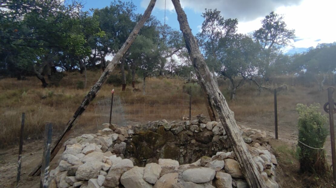 Finca Rústica con Proyecto de Ecoturismo en la Vega del Madroñal, Extremadura