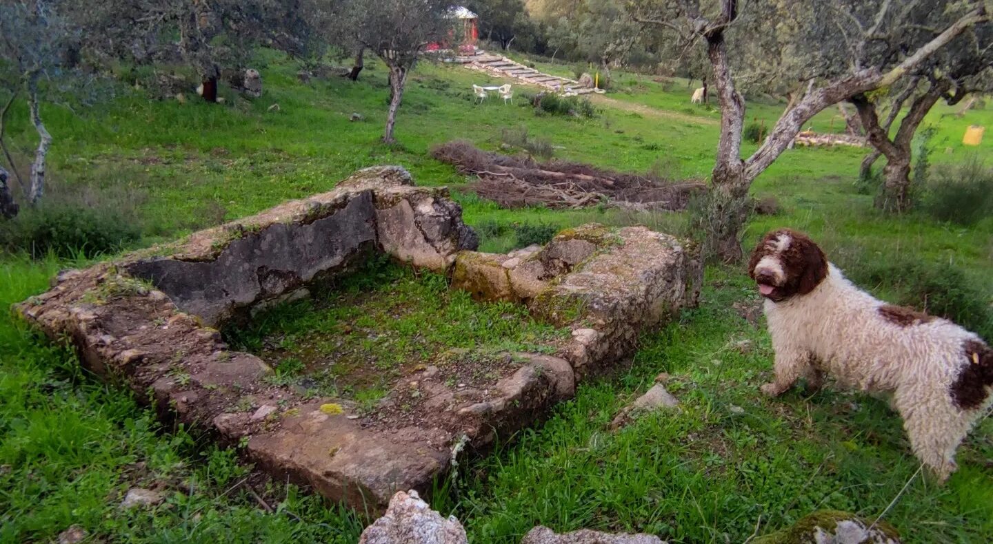 Finca Rústica con Proyecto de Ecoturismo en la Vega del Madroñal, Extremadura