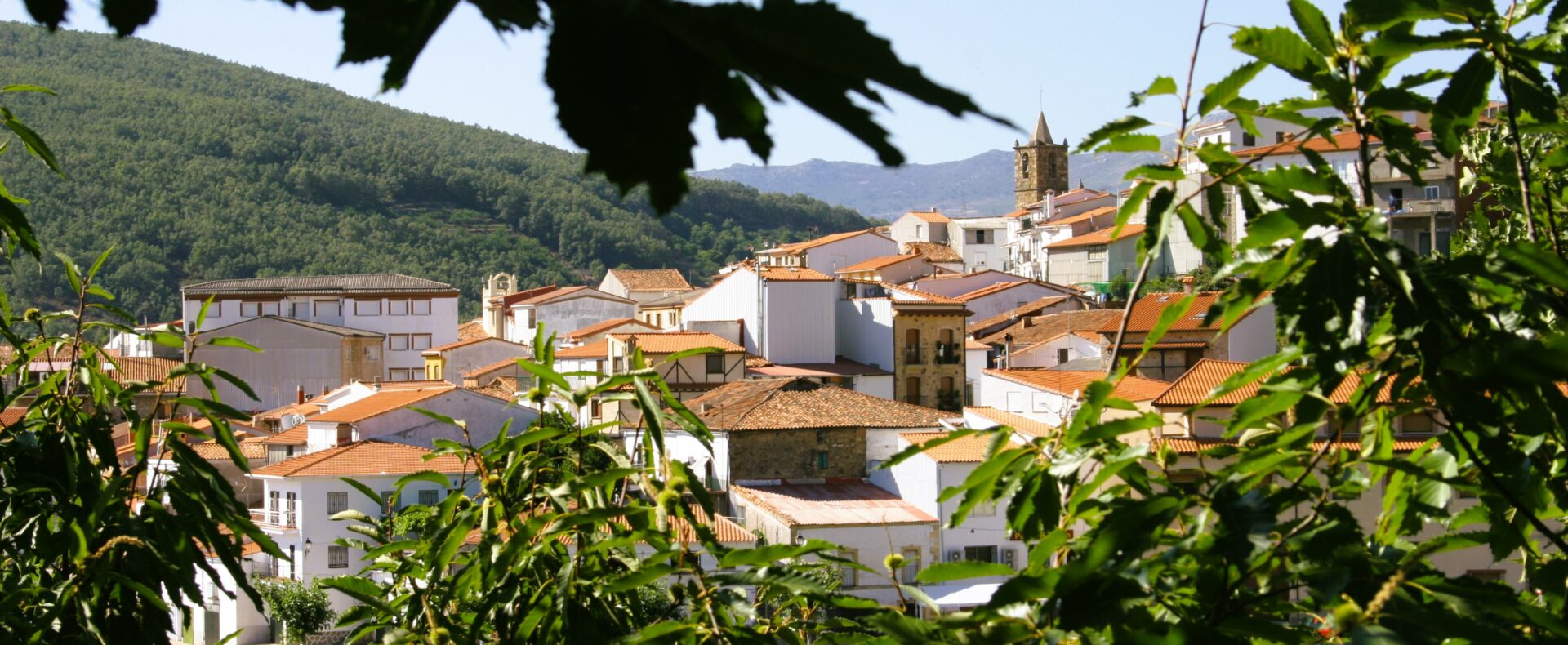 Casa rural con encanto en el valle del Jerte, Caceres